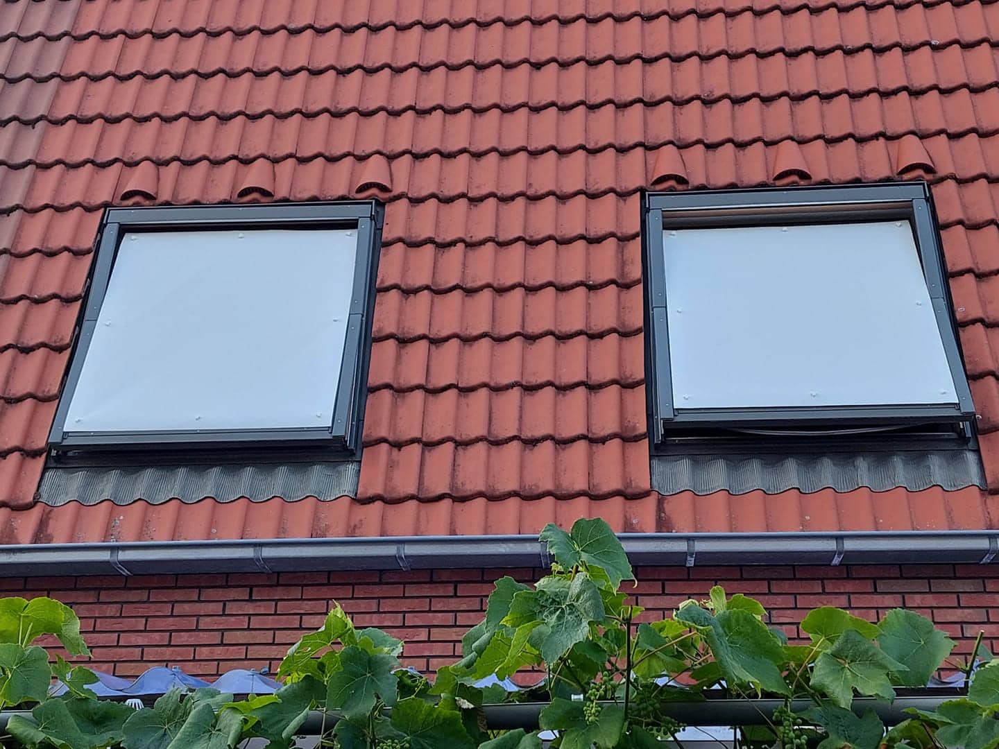 84213f6d47b410bbbf7e595b5645c46177089868